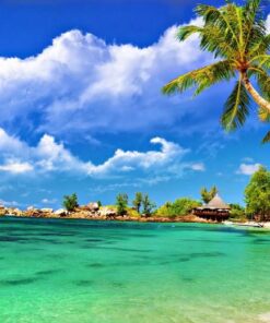 Andaman Tour - 4 Days