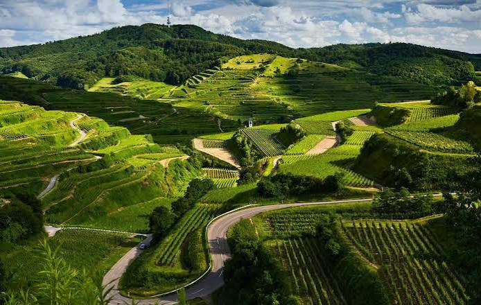 Coorg 3 Nights 4 Days