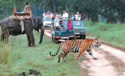 Corbett Nainital Tour 3 Nights 4 Days