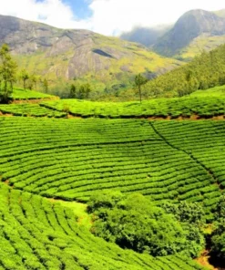 Gangtok- Darjeeling Tour Package