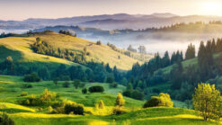 East Package Jewels of North  4 Nights 5 Days