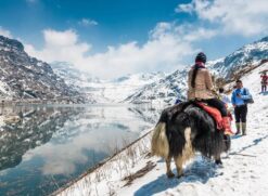 Triangle Tour Package  6 Nights 7 Days