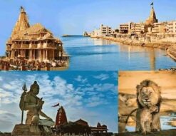 Gujarat Tour Package - 6 Days