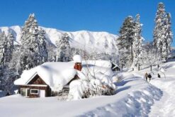 Srinagar Gulmarg Tour  5 Nights 6 Days