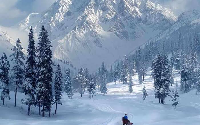 Kashmir Package 7 Nights 8 Days