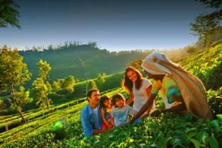 Kerala Delight  2 Nights 3 Days