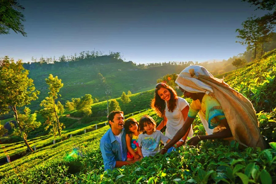 Kerala Delight  2 Nights 3 Days