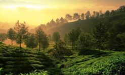 Kerala Summer Vacation Package  3 Nights 4 Days