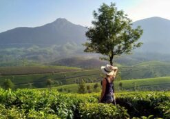 Kerala  7 Nights 8 Days