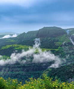 Indian Delight 8 Days