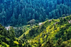 Nainital- Raniketh Holiday Tour  3 Nights 4 Days