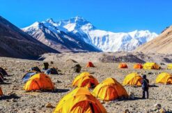 North India Adventure -10 Days