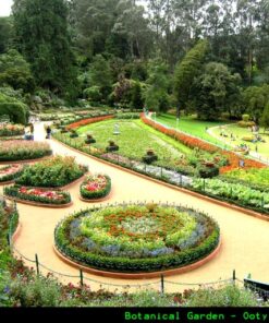 SOUTH INDIAN TOUR PACKAG