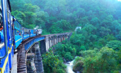Ooty - Wayanad Tour 2 Nights 3 Days
