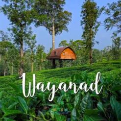 Wayanad  3 Nights 4 Days
