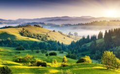 Hill Tour Package  5 Nights 6 Days