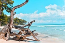 Andaman Islands Tour  4 Nights 5 Days