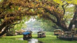 Kerala Tour  3 Nights 4 Days