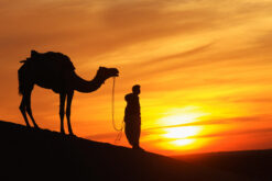 Rajasthan Tour Package  7 Nights 8 Days