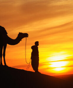 Rajasthan Tour Package  7 Nights 8 Days